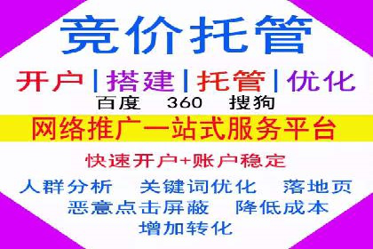 SEM推广实战：案例分析及优化路径
